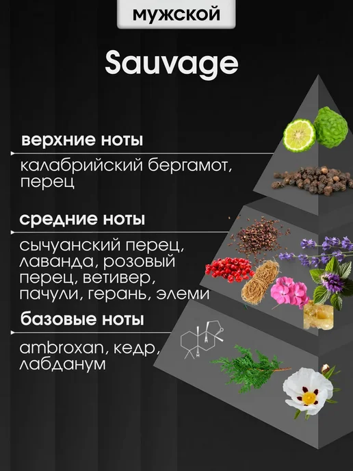 PARFUME PAYS Отдушка для духов, свечей, мыла, 10 мл, фото 2