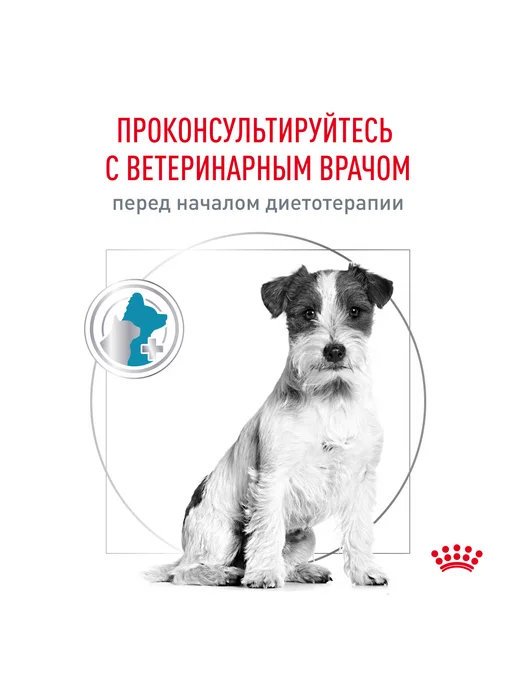 Сухой корм Royal canin для собак, гипоаллергенный, мелкие, 3,5 кг, фото 6