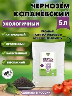 Интернет-магазин Wildberries: широкий ассортимент товаров - скидки каждый день!