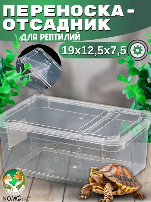 NOMOY PET Переноска - отсадник для рептилий, 19 х 12,5 х 7,5 см, 19x12.5x7.5 см