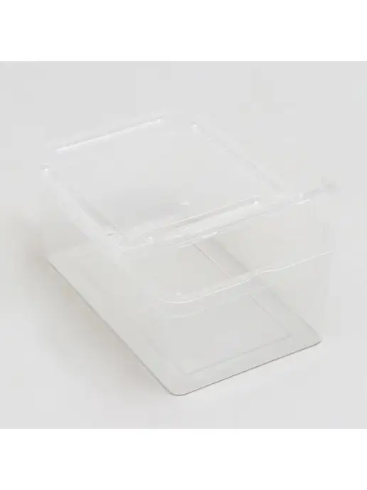 NOMOY PET Переноска - отсадник для рептилий, 19 х 12,5 х 7,5 см, 19x12.5x7.5 см, фото 6