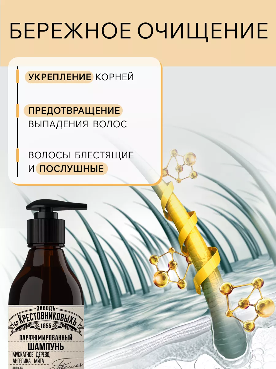 Шампунь ЗБК Купаж №3 мускат, ангелика, мята 300 гр Завод братьев  Крестовниковых 131674869 купить в интернет-магазине Wildberries