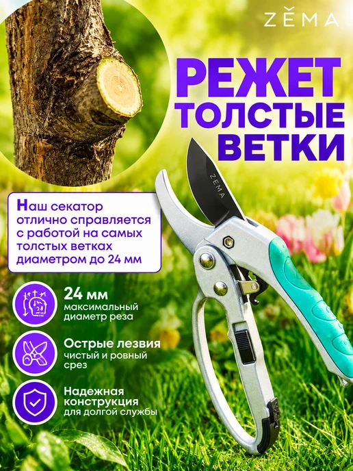 ZEMA Профессиональный секатор с храповым механизмом ZM3003, вариант, фото 5