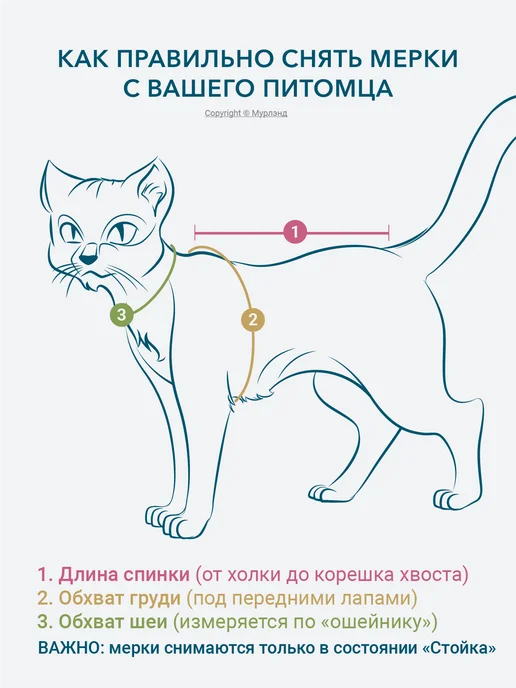 МУРЛЭНД Попона для кошек послеоперационная, мейн-кун, белый, фото 6