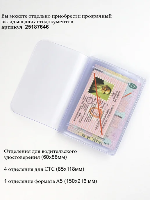Barsalini Land Обложка для автодокументов из натуральной кожи, фиолетовый, фото 5