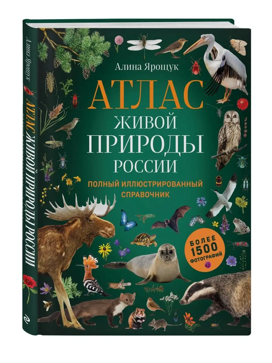 Увлекательная наука: 10 научно-популярных фильмов для детей 6–12 лет