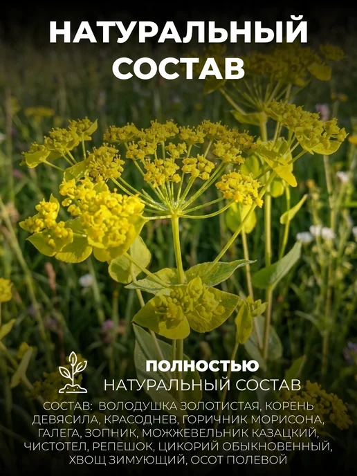 Мед и Конфитюр Сбор трав №10 Желчно - каменная болезнь 150 гр, 150 г, фото 3