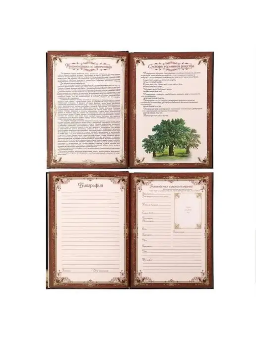 КанцМаркет Родословная книга "Древо", 56 листов, 16.5 х 24 см, 16.5x24 см, фото 3