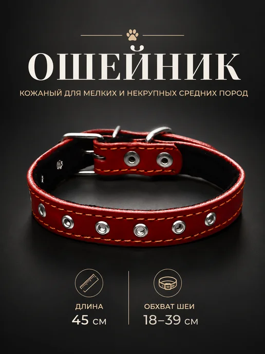 Пижон Ошейник для собак, черный