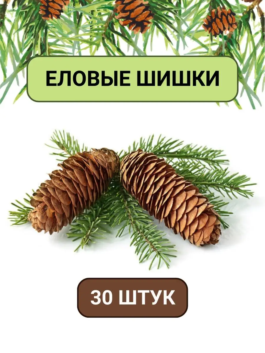 как раскрыть сосновые шишки для поделок | Дзен