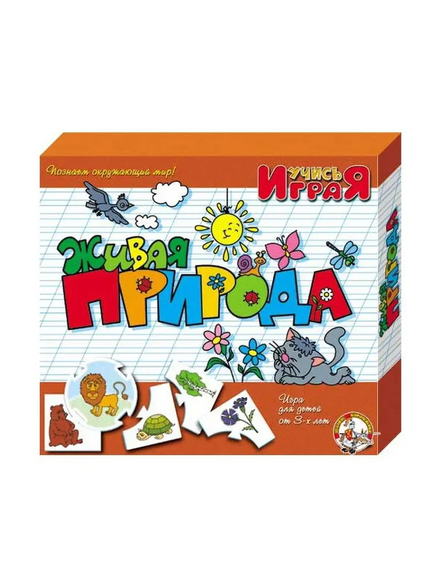 Обучающая игра 