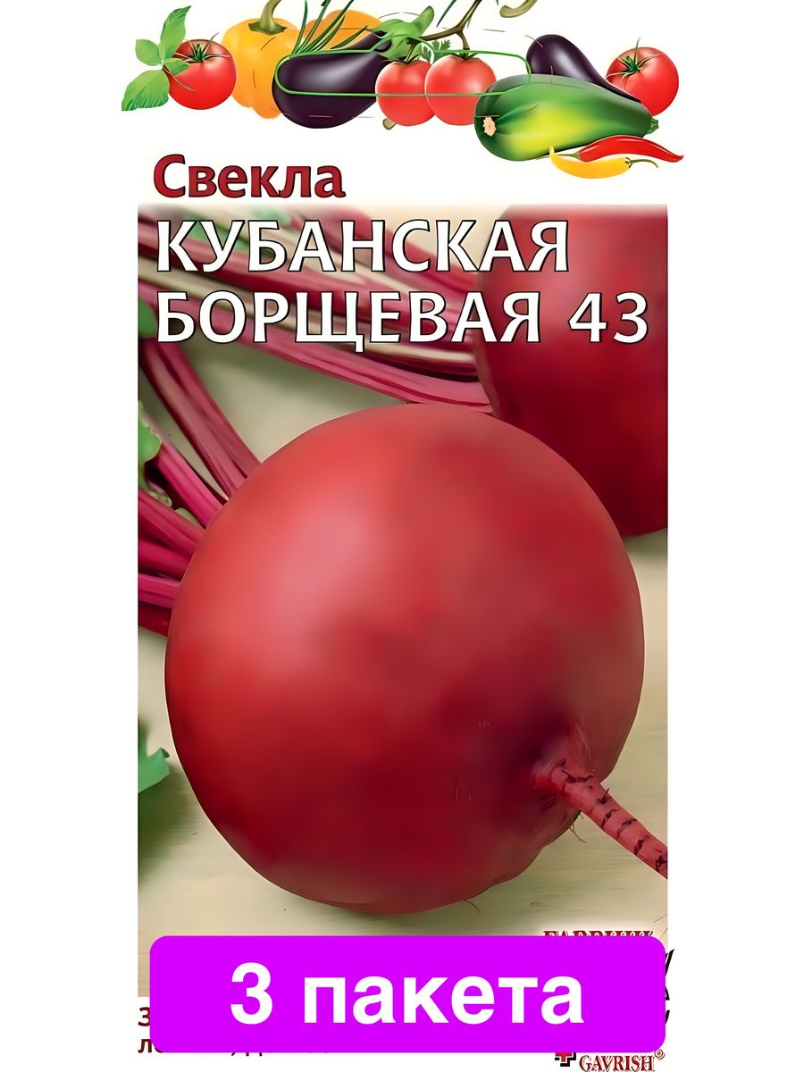 Кубанская свекла. Свекла Кубанская борщевая 43. Свекла Кубанская борщевая. Свекла Крымская борщевая Гавриш. Свекла Кубанская борщевая 43, Уральский Дачник.