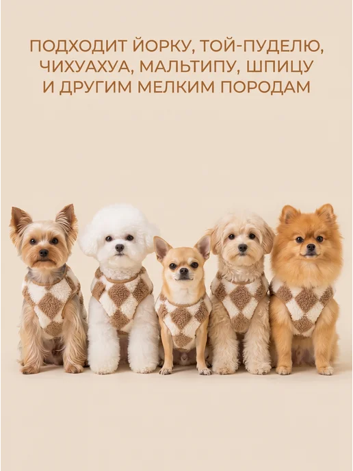 Arnydog Жилет для собак мелких и средних пород и кошек, бежевый, фото 2