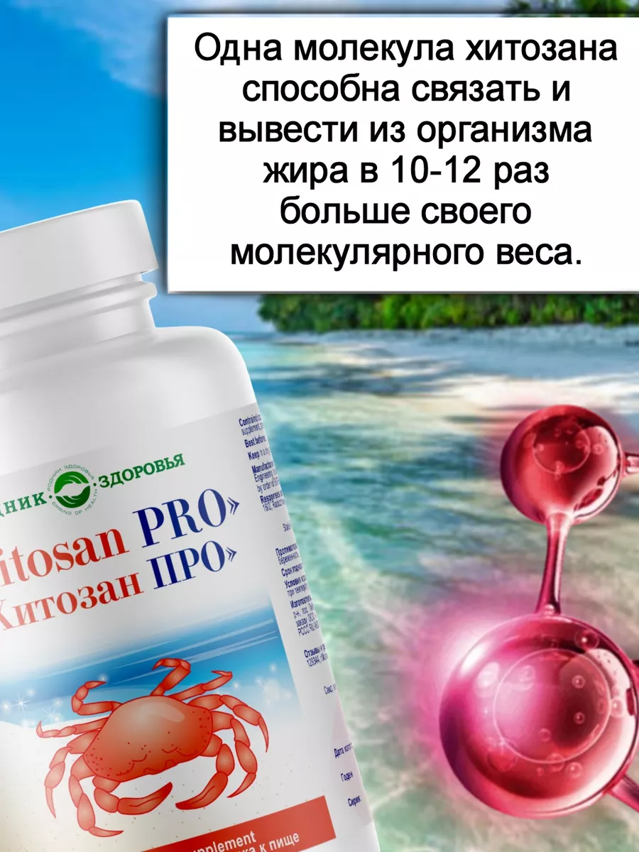 Хитозан про для снижения веса Родник Здоровья 133007957 купить за 2 988 ₽ в  интернет-магазине Wildberries