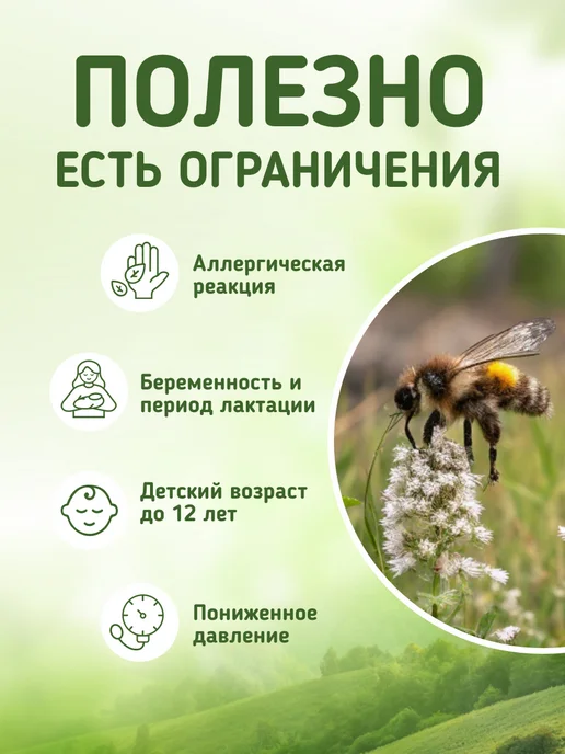 Родные травы Листья брусники сушеные чай от отеков, вариант, фото 2