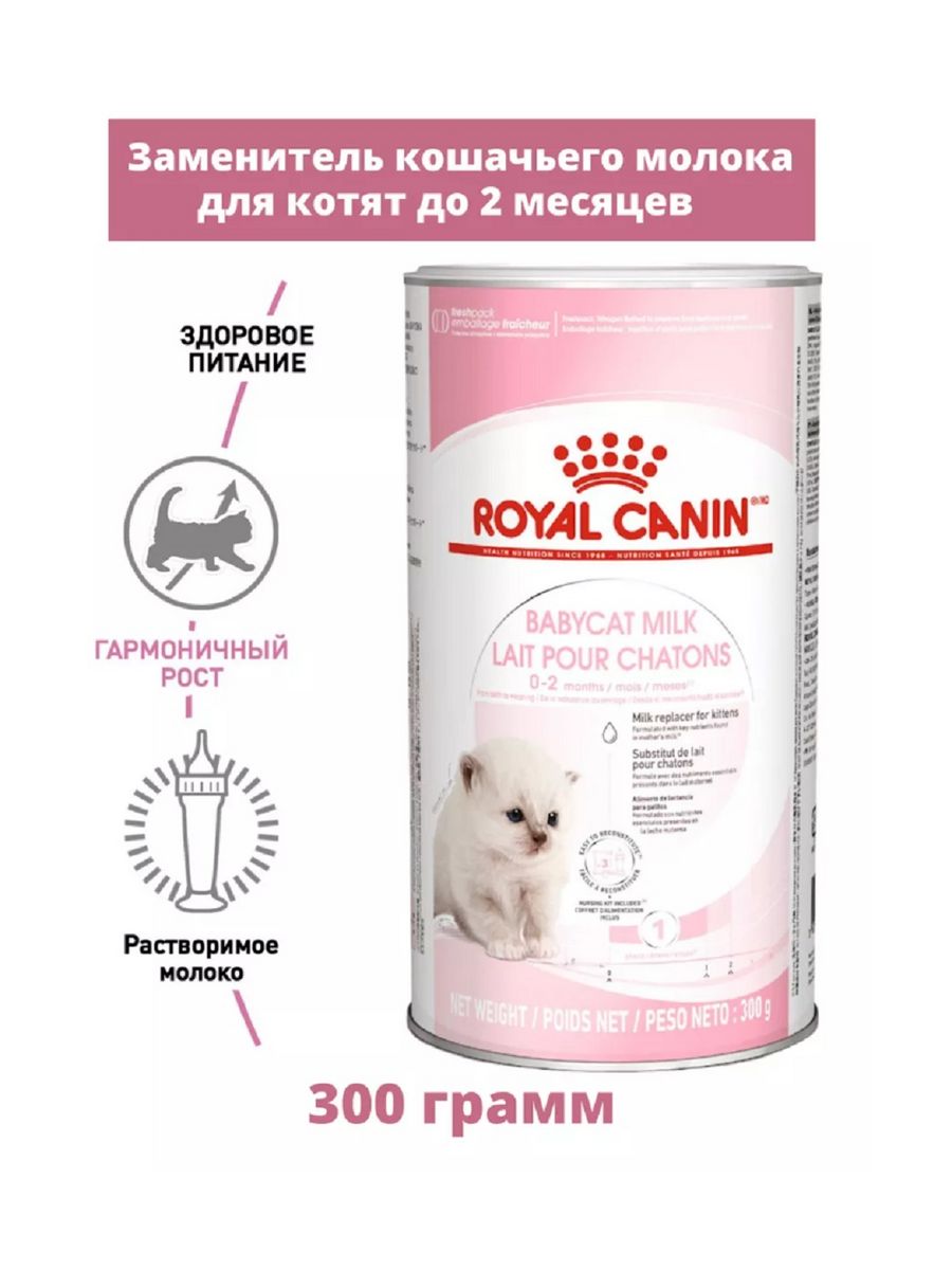 Babycat milk сухая молочная смесь для котят, 300 г ROYAL CANIN 133218176  купить в интернет-магазине Wildberries