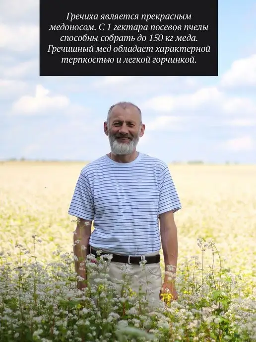 Добрый пасечник Гречишный мед жидкий 500 г, 500 г, фото 3