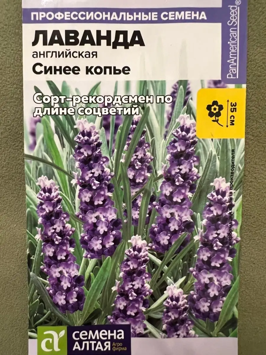 семена лаванда СИНЕЕ КОПЬЕ Лаванда 133299503 купить за 171 ₽ в  интернет-магазине Wildberries