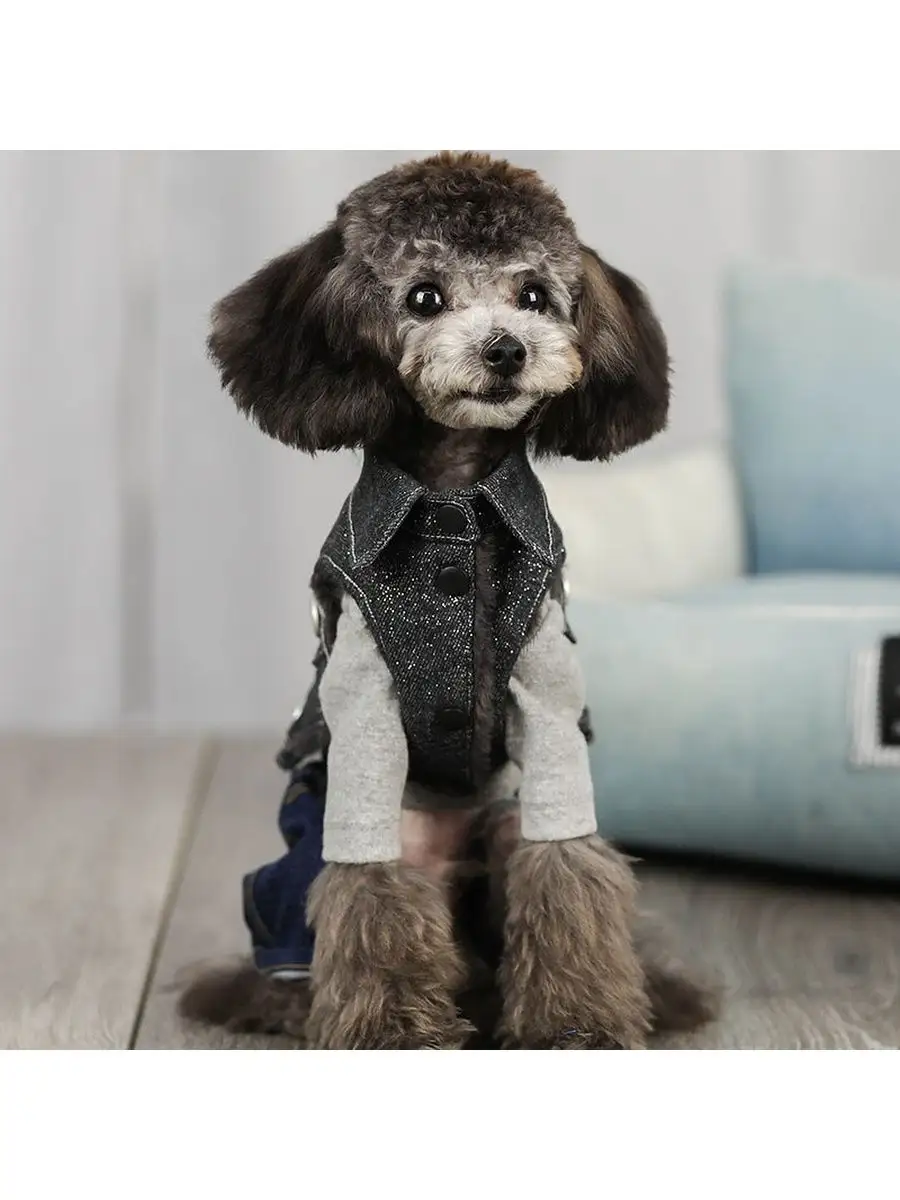 Одежда Осень-Зима для собак