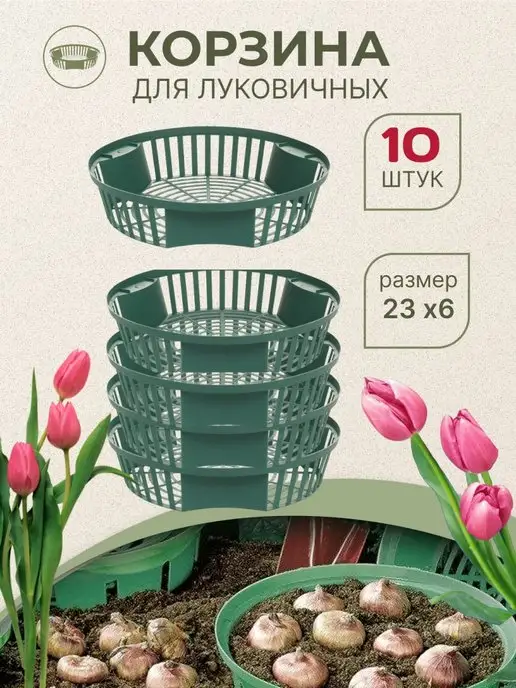 Tropicana Gifts Корзина для луковичных