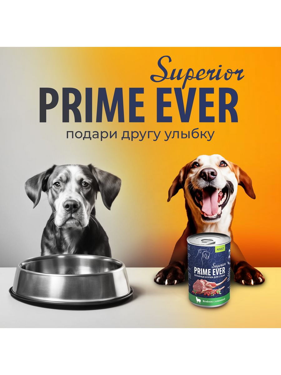 Prime ever для собак. Прайм Эвер корм для собак.