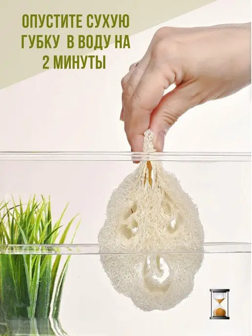BestVille Натуральные губки для посуды и уборки из люфы, бежевый, фото 4