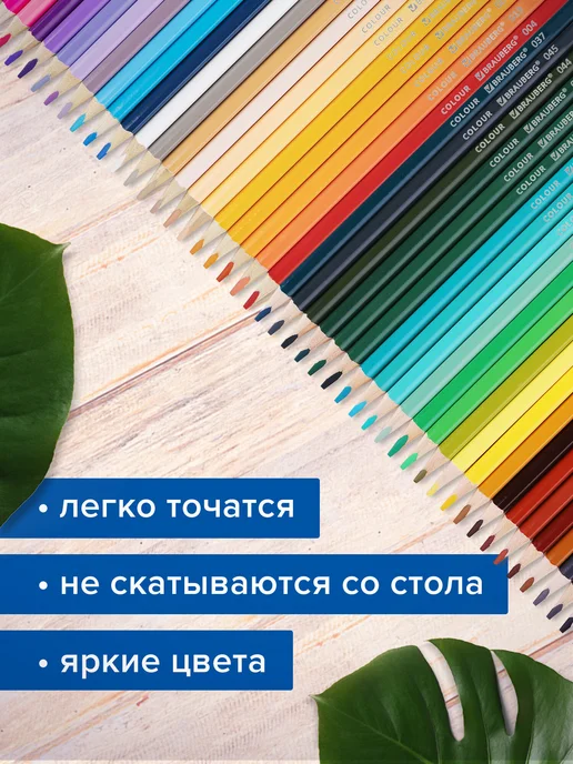 Brauberg Набор цветных карандашей для рисования супермягкие 50 цветов, 50 цв., фото 4