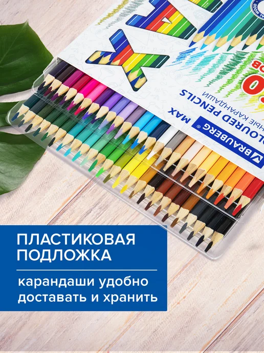 Brauberg Набор цветных карандашей для рисования супермягкие 50 цветов, 50 цв., фото 6