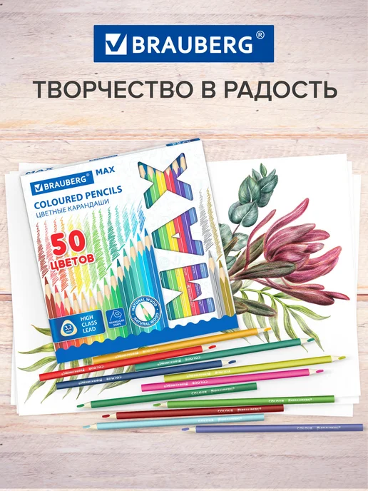 Brauberg Набор цветных карандашей для рисования супермягкие 50 цветов, 50 цв., фото 7