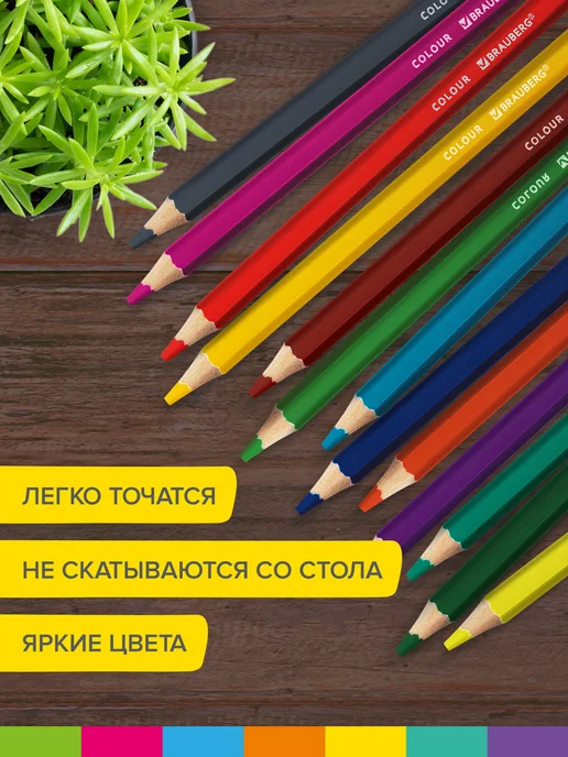 Brauberg Карандаши цветные для рисования утолщенные, мягкие 12 цветов, 12 цв., фото 4