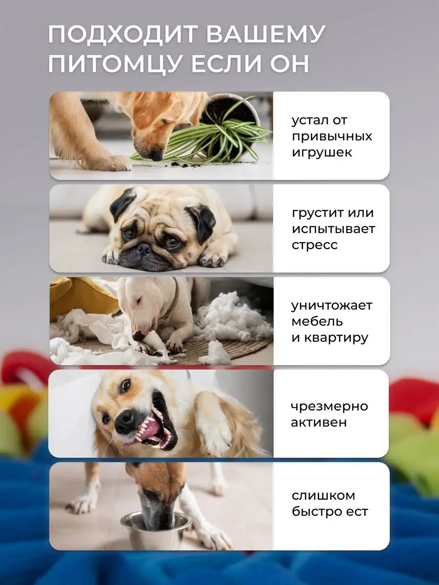 Игрушка для собак нюхательный коврик Pet-it 133863197 купить за 701 ₽ в  интернет-магазине Wildberries