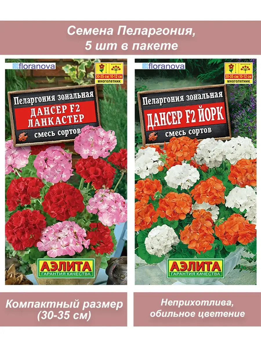 Купить Семена Пеларгонии Аэлита