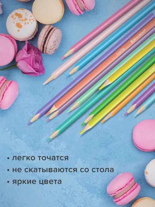 Brauberg Карандаши цветные пастельные для рисования 24 цвета, 24 цв., фото 4