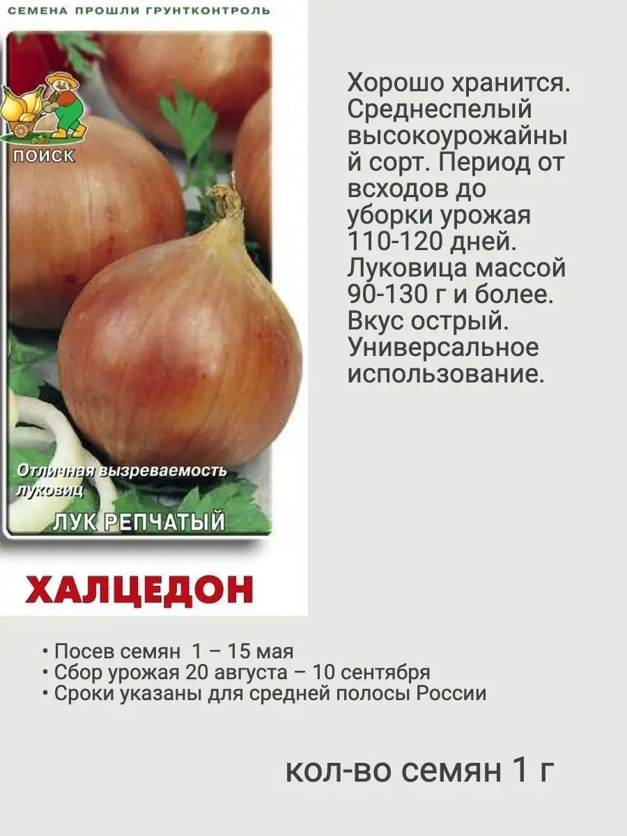 Семена Лук репчатый 6 пакетиков Агрохолдинг Поиск 134060339 купить за 243 ₽  в интернет-магазине Wildberries