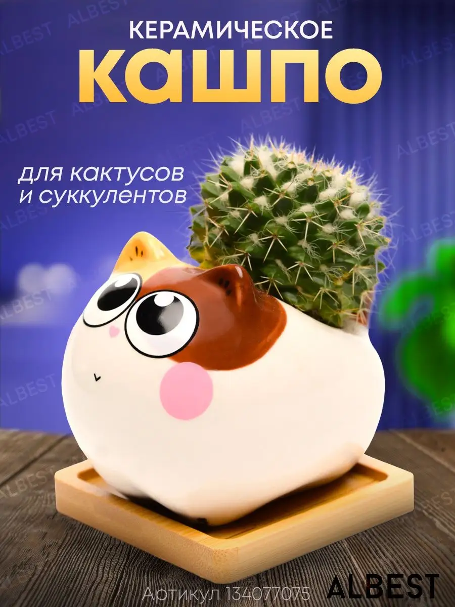Кашпо для кактуса и...