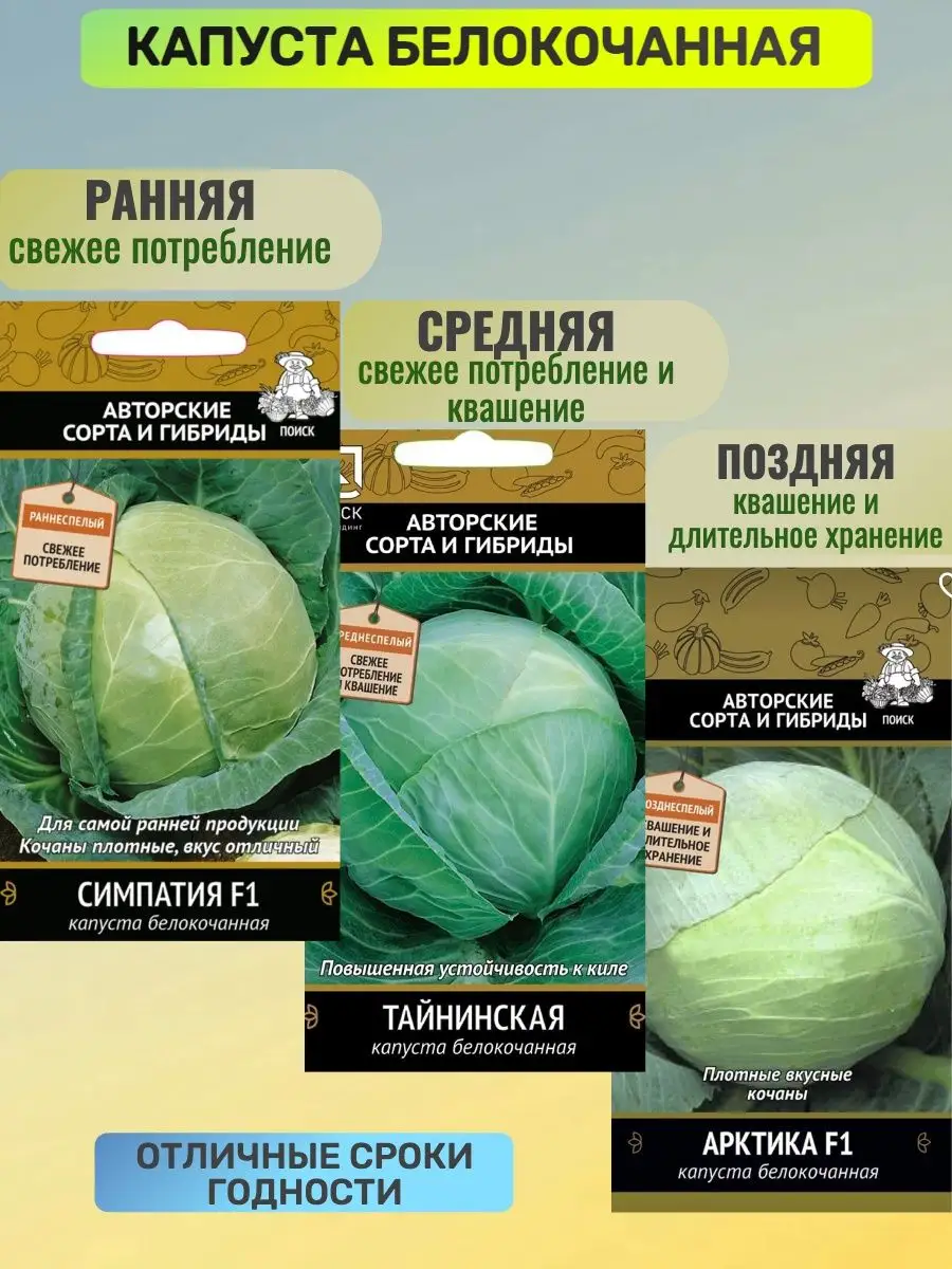 семена капуста белокочанная Агрохолдинг Поиск 134083930 купить за 195 ₽ в  интернет-магазине Wildberries