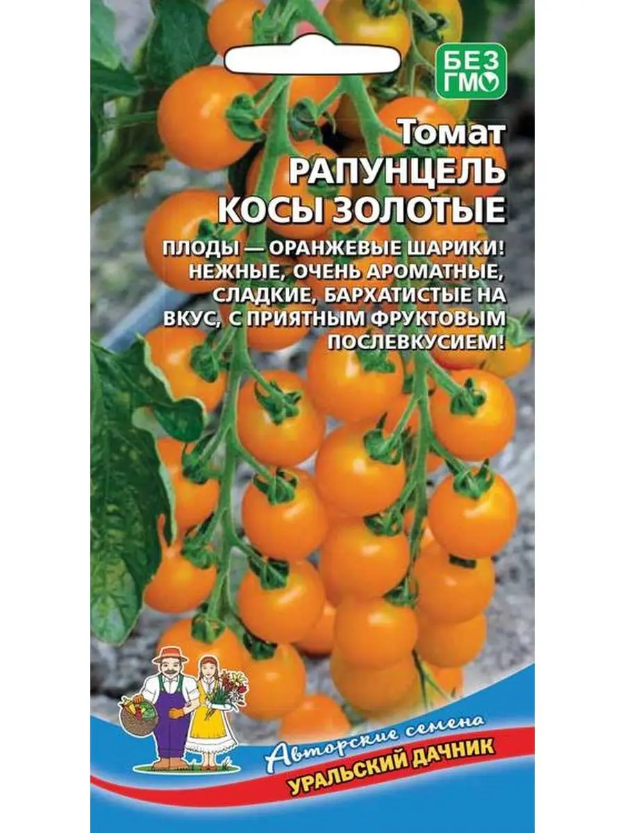 Косички помидора. Томат Рапунцель семена. Томат Рапунцель косы золотые. Сорт помидор Рапунцель. Томат черри Рапунцель косы золотые.