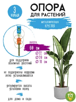 Опора для растений круглая (3 кольца) металл h60см GARDEN SHOW 134114065 купить за 397 ₽ в интернет-магазине Wildberries