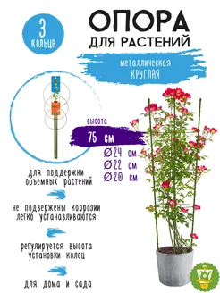 Опора для растений круглая (3 кольца) металл 75 см GARDEN SHOW 134114069 купить за 375 ₽ в интернет-магазине Wildberries