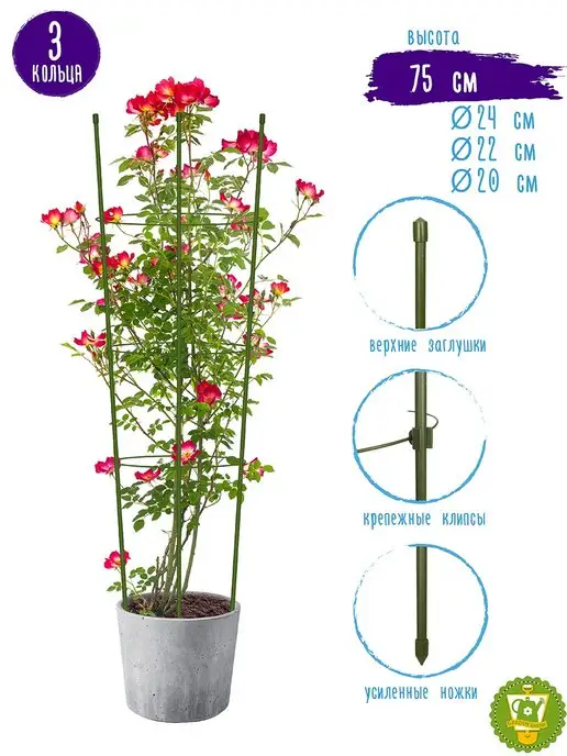 Garden Show Опора для растений круглая (3 кольца) металл 75 см, вариант, фото 4