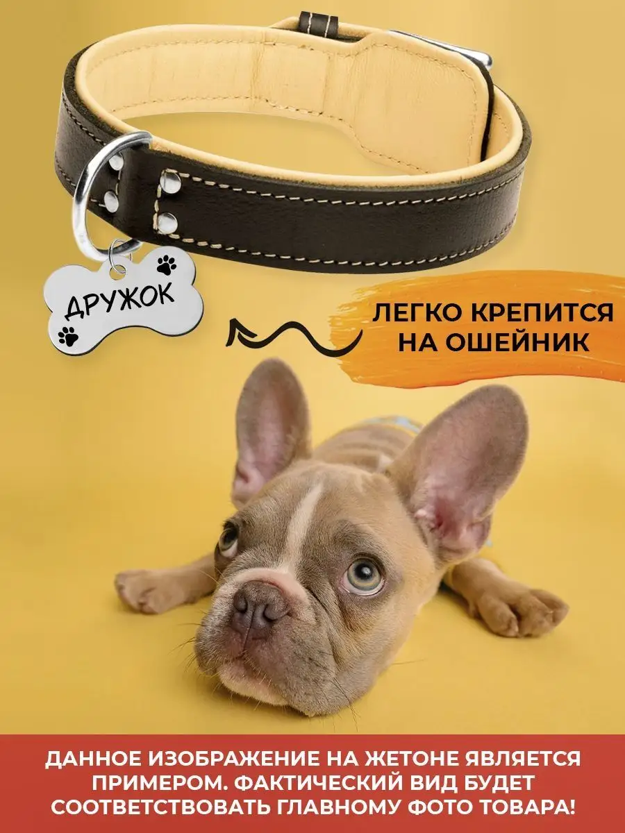 Брелок для собак, кличка Шафран EngraveANIMAL 134121730 купить за 399 ₽ в  интернет-магазине Wildberries