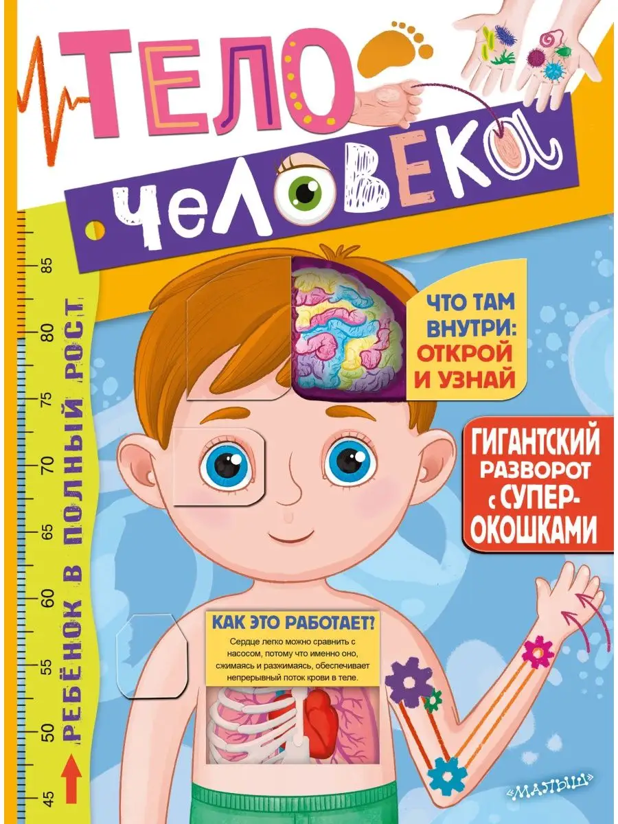 Тело человека книга с окошками для почемучек