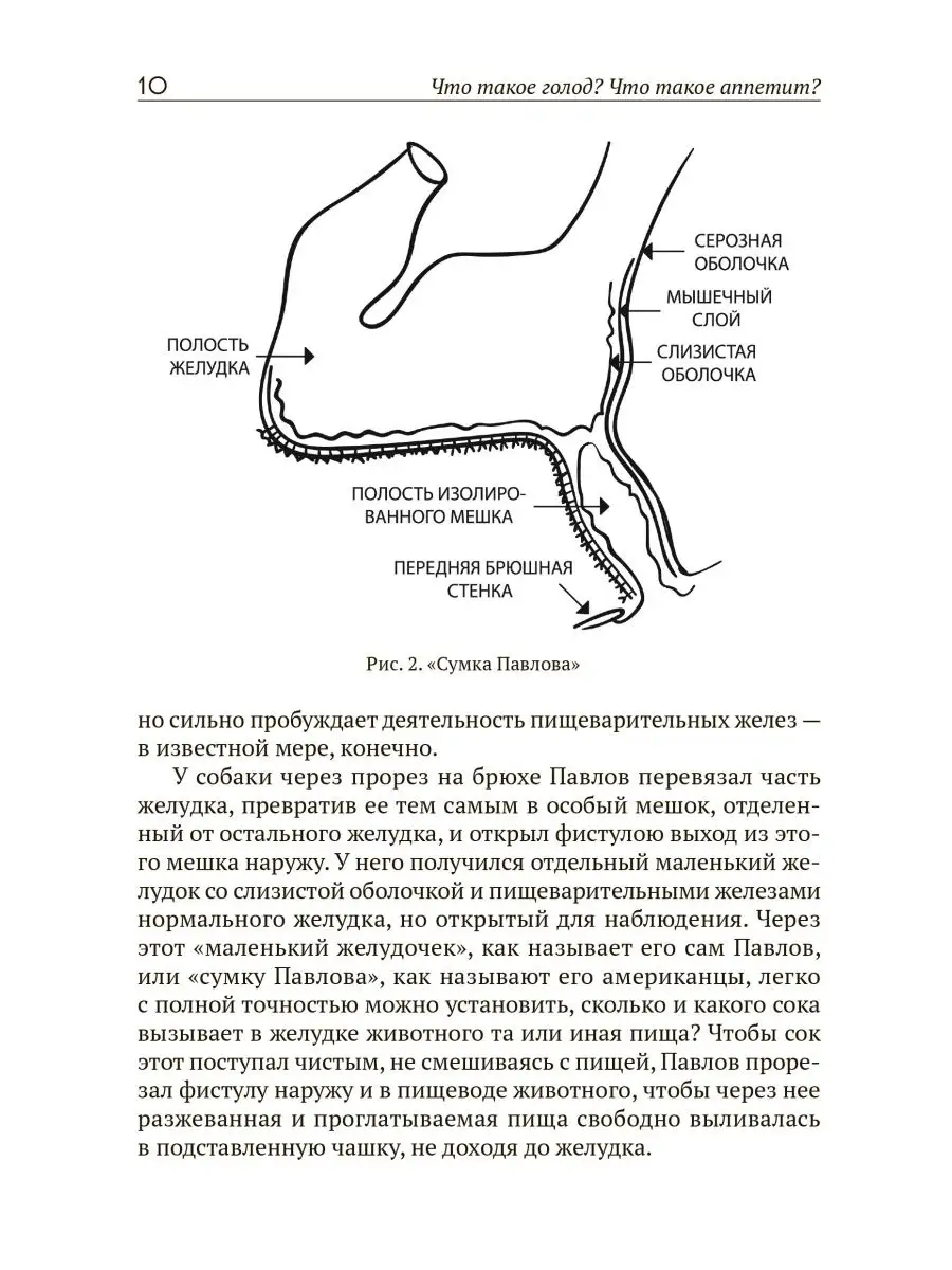 Читать онлайн «Очищение желудка и кишечника», Д. А. Мантров – ЛитРес