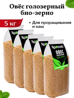 Овес голозерный, 5 кг Аратай 134371138 купить за 1 038 ₽ в интернет-магазине Wildberries