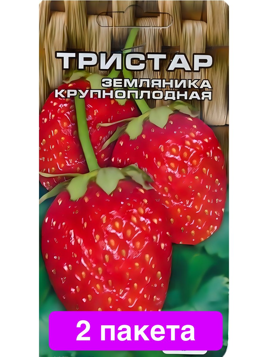 Клубника тристар. Клубника сорт ТРИСТАР описание фото отзывы.