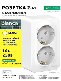 Розетка 2-ая с заземлением со шторками Blanca 16А 250В белая Systeme Electric 134381737 купить за 297 ₽ в интернет-магазине Wildberries