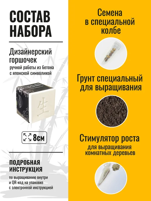 ЭкоКлуб Набор для выращивания растений бонсай Мимоза, вариант, фото 2