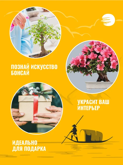 ЭкоКлуб Набор для выращивания растений бонсай Мимоза, вариант, фото 3