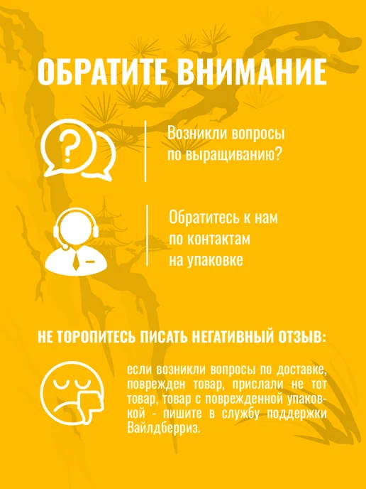ЭкоКлуб Набор для выращивания растений бонсай Мимоза, вариант, фото 6