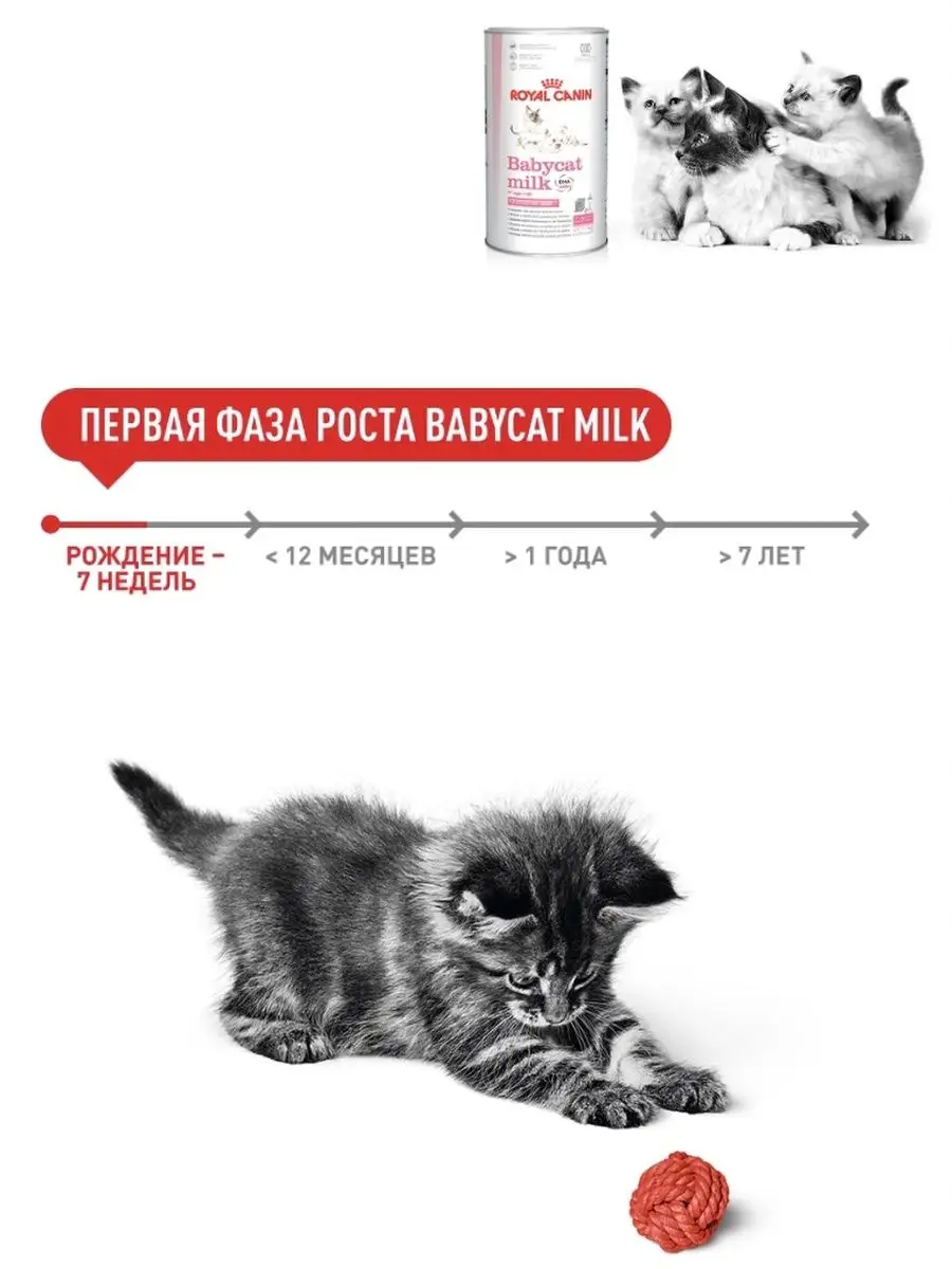 Молочная смесь Babycat Milk для котят 300 грамм ROYAL CANIN 134676972  купить в интернет-магазине Wildberries